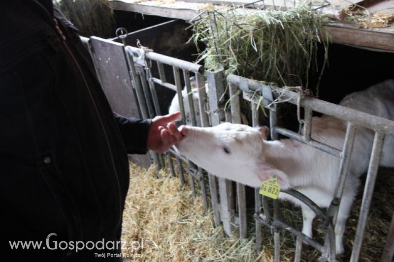 Wyjazd studyjny na farmę w Hohenhameln (Niemcy)