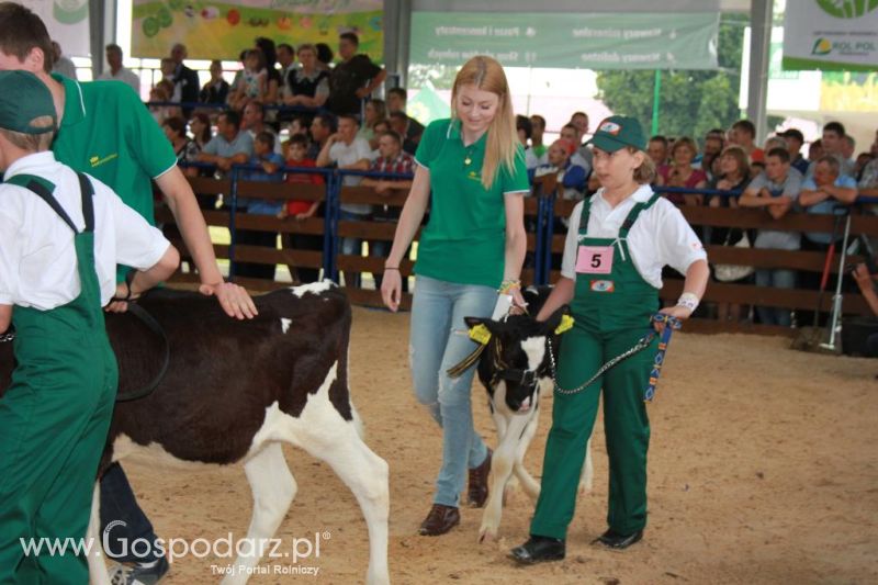 Młody Hodowca - Szepietowo 2013 XX Regionalna Wystawa Zwierząt Hodowlanych