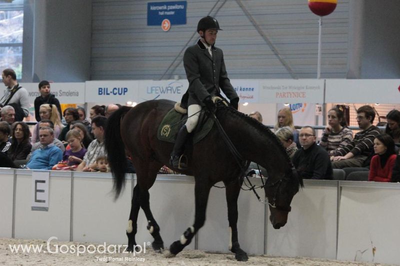 CAVALIADA 2013 w Poznaniu