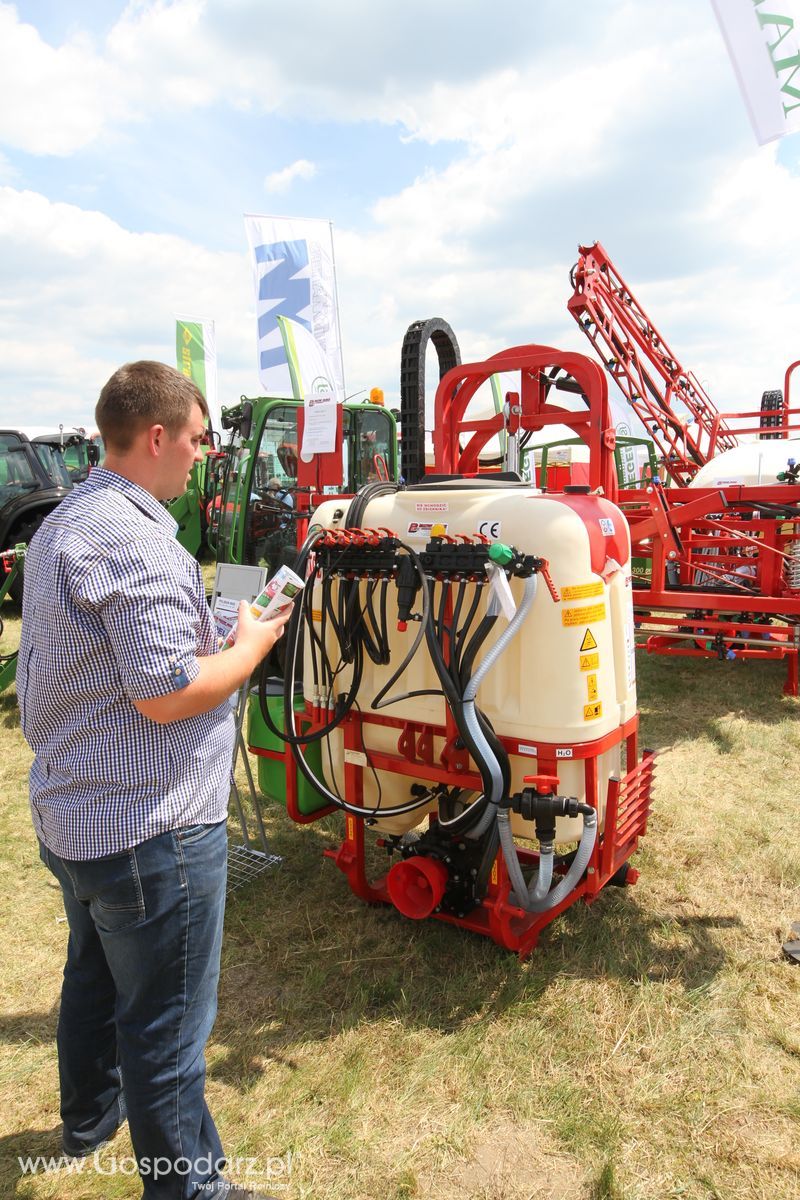 Bury na OPOLAGRZE 2016