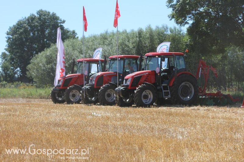 Zetor Family Tractor Show 2013 - Opatów