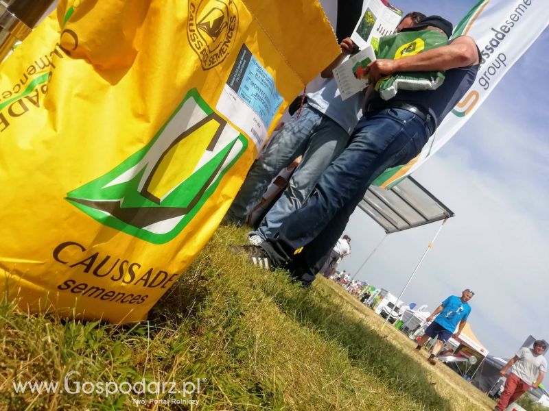 Opologra 2019