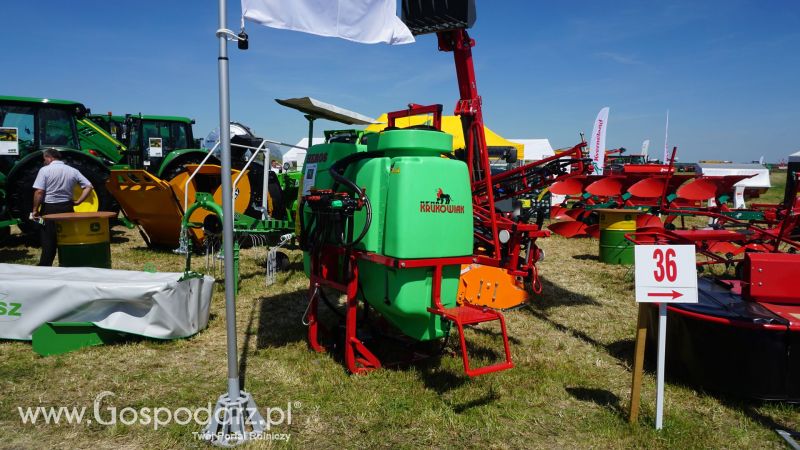 Krukowiak na ZIELONE AGRO SHOW w Ułężu 2017