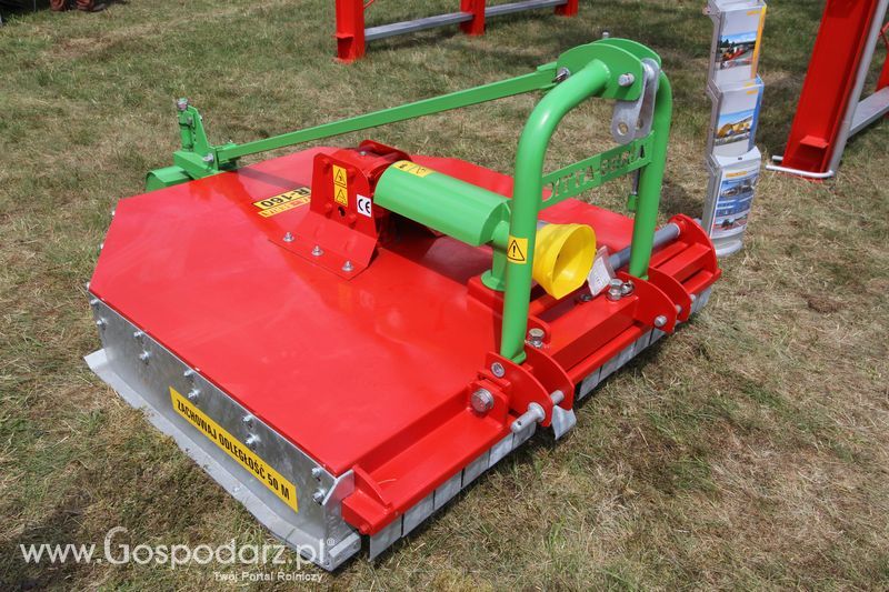 Ditta-Seria na OPOLAGRZE 2016