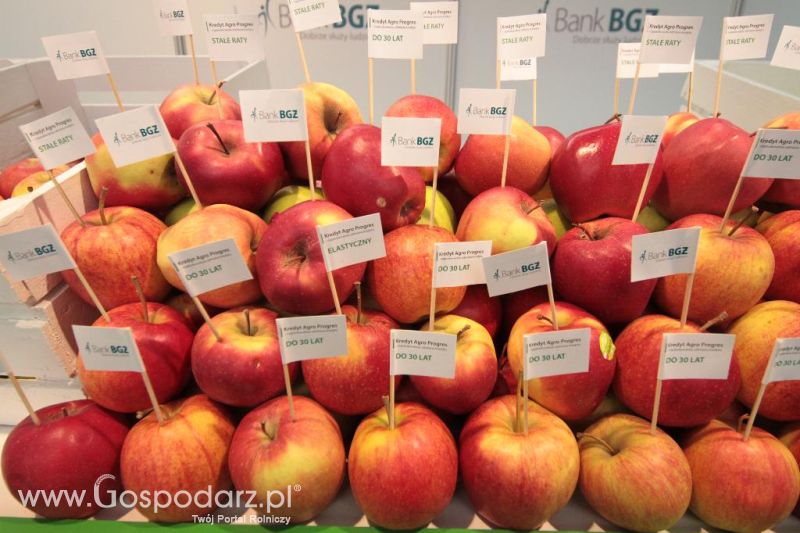 Targi AGROTECH i LAS-EXPO Kielce cz.2