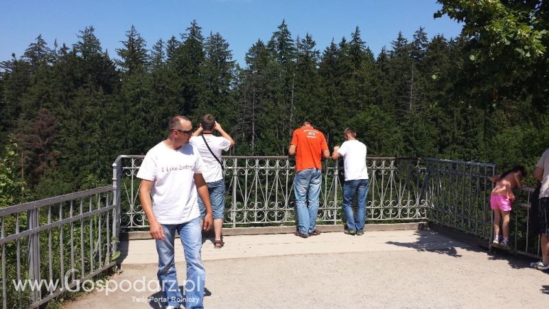 Precyzyjni Gospodarze w Czechach