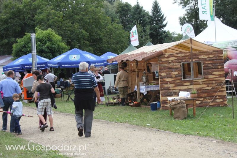 XIX Krajowe Dni Ziemniaka w Marszewie