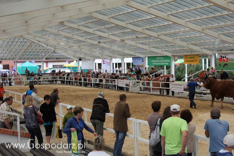 Czempioni XVII Regionalnej Wystawy Zwierząt Hodowlanych Sielinko 2011