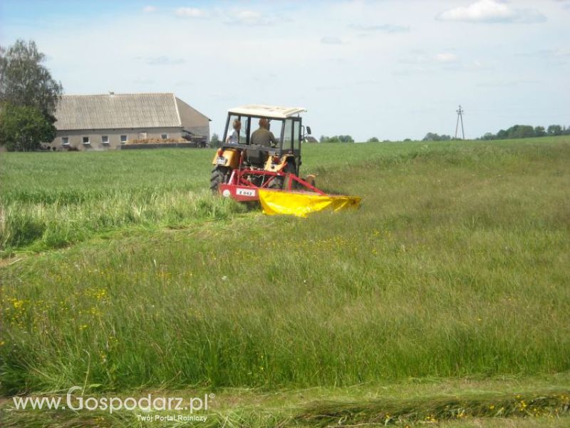 pierwsze sianokosy w roli głownej ursus c330M...