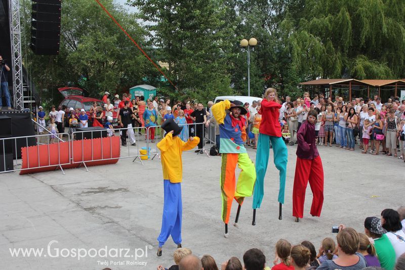 VIII Święto Gęsi w Biskupcu
