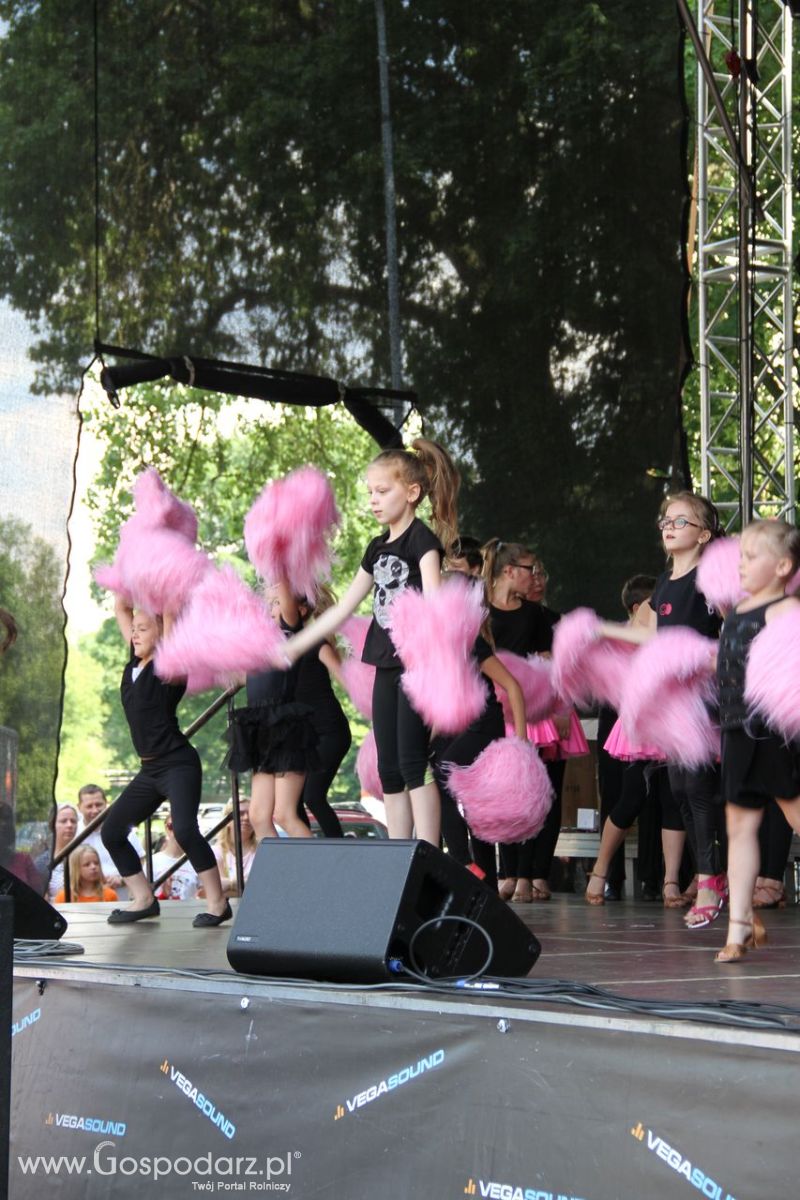 Festiwal Wieprzowiny w Koźminie  Wielkopolskim