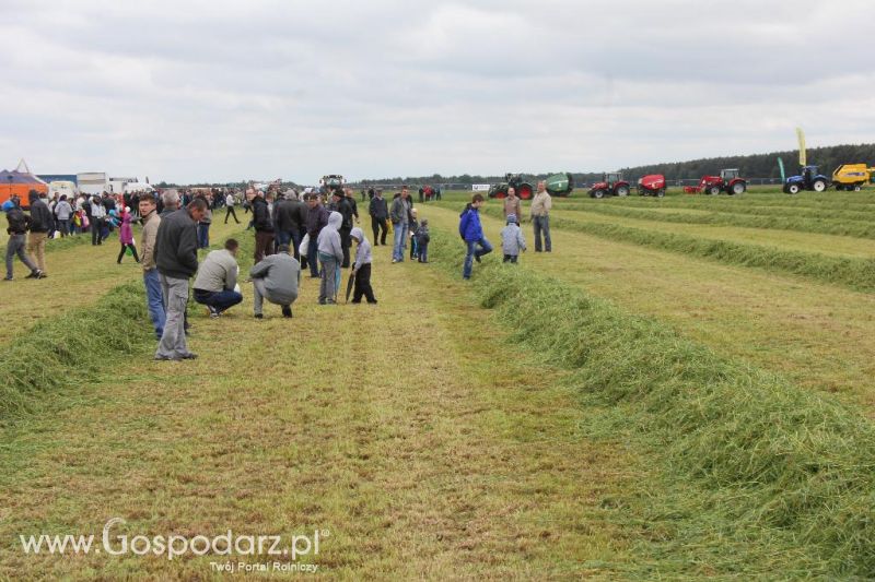Pokazy maszyn Polskie Zboża Zielone Agro Show 2013