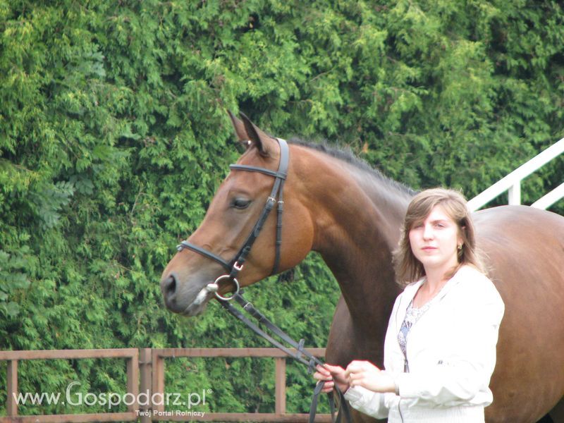 Wystawa Koni Sielinko 2011