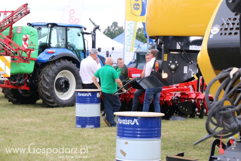 Regionalna Wystawa Zwierząt Hodowlanych i Dni z Doradztwem Rolniczym w Szepietowie 2017