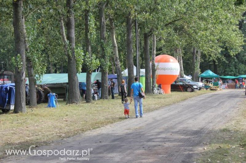 XI Ogólnopolski Festiwal Starych Ciągników i Maszyn Rolniczych