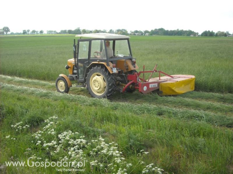 pierwsze sianokosy w roli głownej ursus c330M...