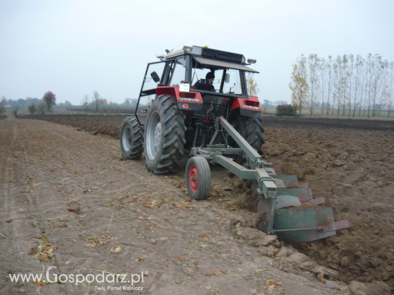 MrZgredy de luxa mają więc w polu sobie rade dają Orka Zimowa 2011