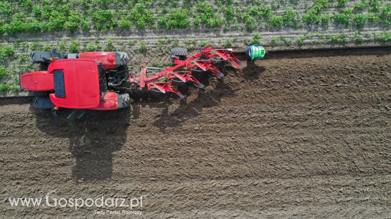 VII Wojewódzki Konkurs Orki z firmą INTER-VAX