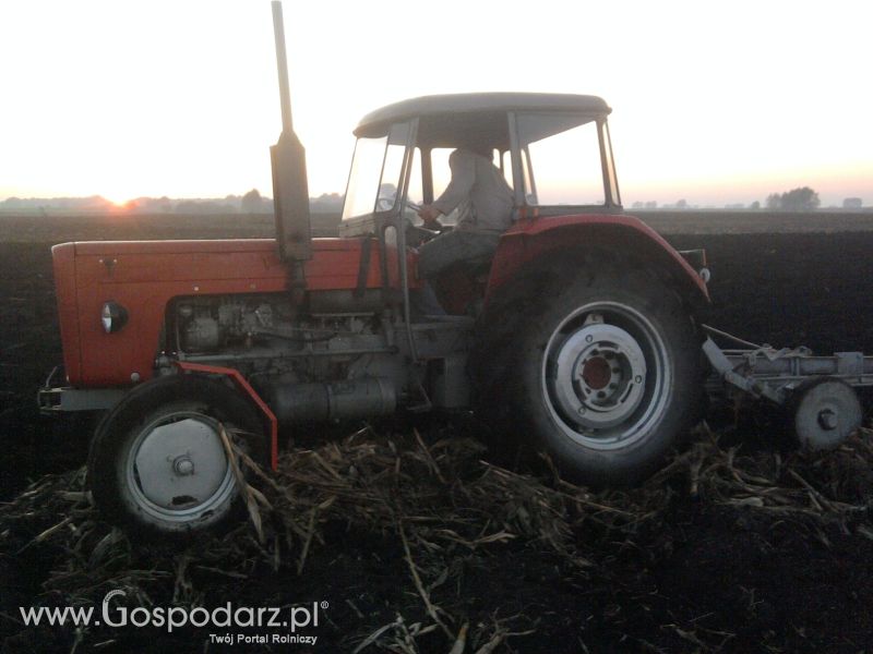 akcja  orka 2011 C-360 po kukurydzy 
