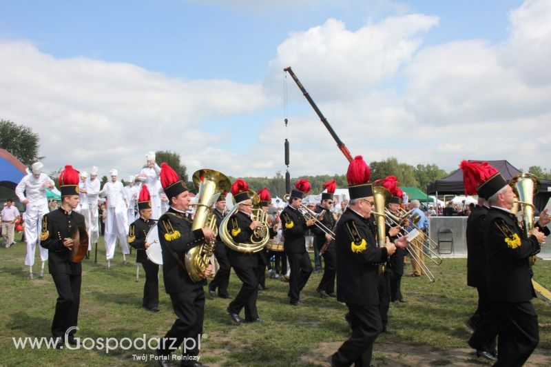Świętomięs Polski w Chorzowie