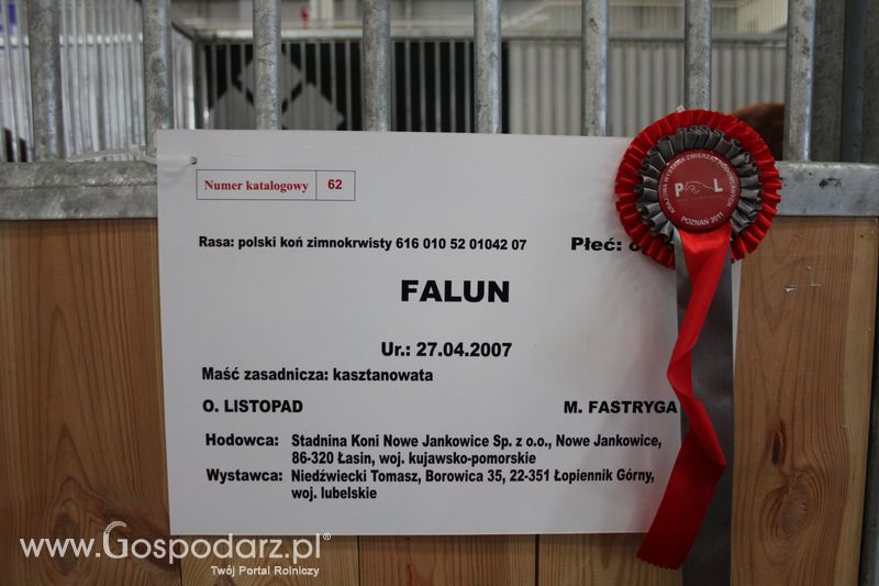 XXV Krajowa Wystawa Zwierząt Hodowlanych Niedziela