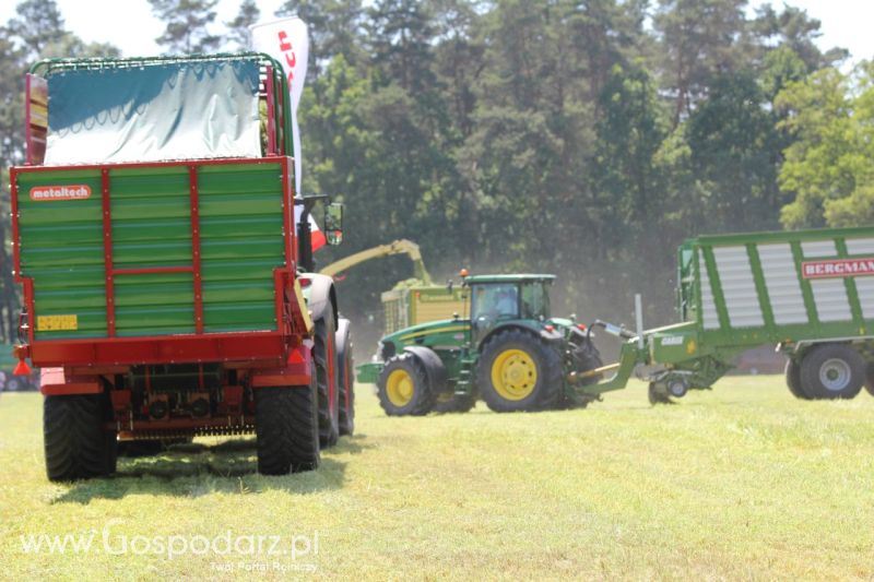 Zielone AGRO SHOW – POLSKIE ZBOŻA 2014 w Sielinku - sobota