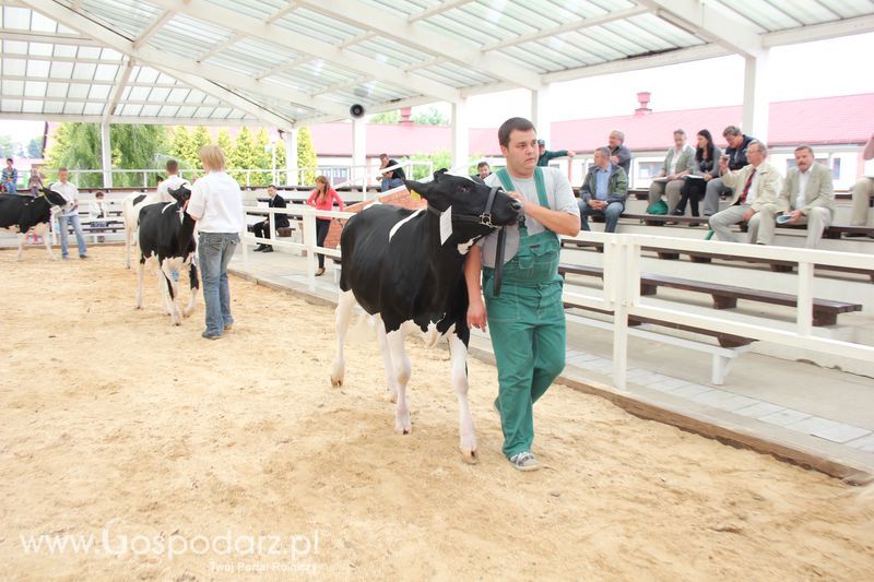 Wystawa bydła Sielinko 2011