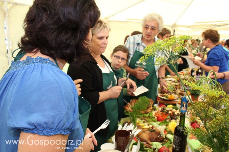 IX Święto Gęsi w Biskupcu