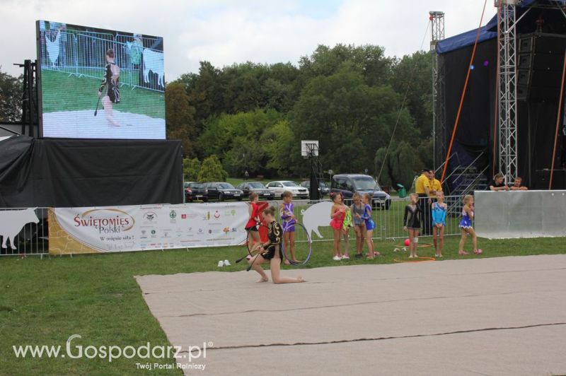 Świętomięs Polski w Chorzowie