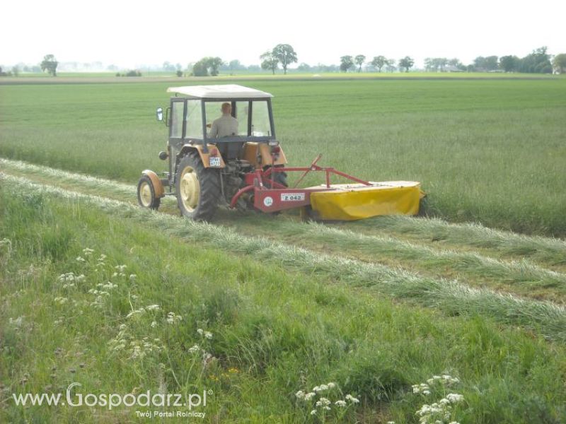 pierwsze sianokosy w roli głownej ursus c330M...