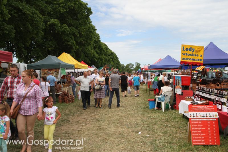Targi rolne w Szepietowie (27-28.06.2015)