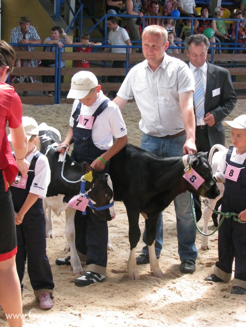 Młody Hodowca - Szepietowo 2012 XIX Regionalna Wystawa Zwierząt Hodowlanych