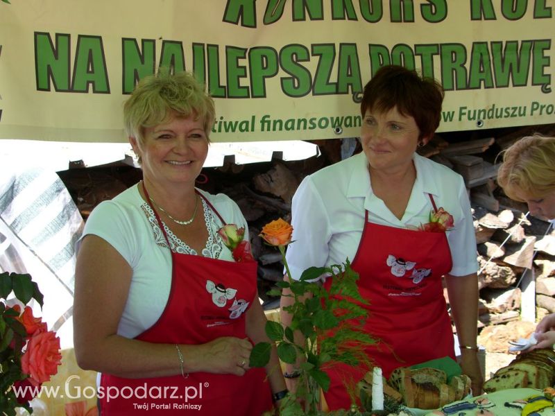 Festiwal Wieprzowiny Targowisko Dolne k/Lubawy 2012