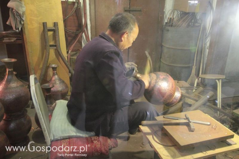 Gospodarz.pl w Chinach