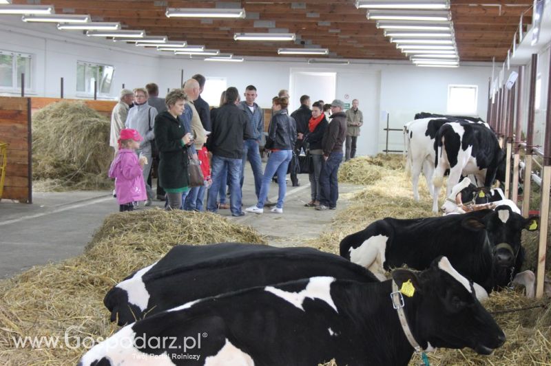 VII Ogólnopolska Wystawa Bydła Hodowlanego - Sielinko 2012