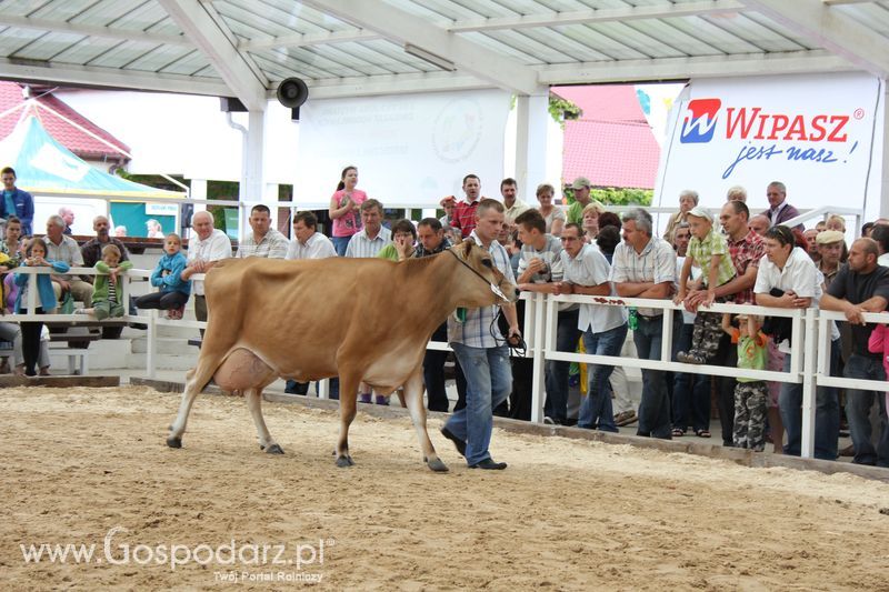 Czempioni XVII Regionalnej Wystawy Zwierząt Hodowlanych Sielinko 2011