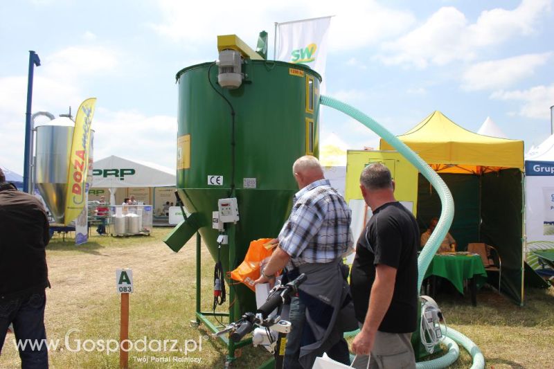 M-Rol na Opolagrze 2013