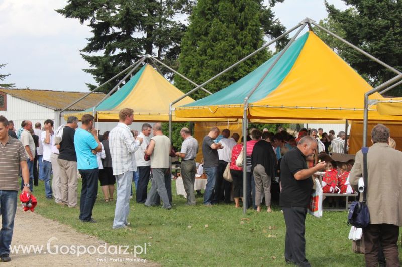 XIX Krajowe Dni Ziemniaka w Marszewie