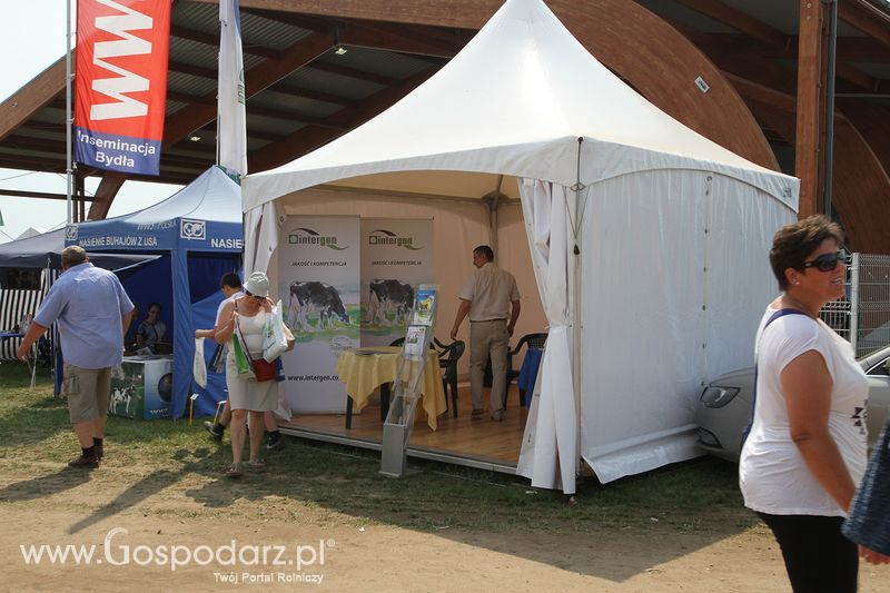 Intergen na Targach Agro-Tech w Minikowie 