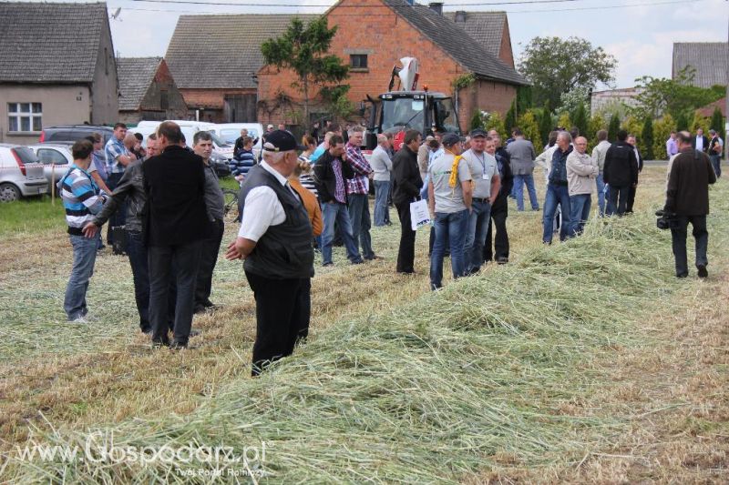 Pokazy polowe Romanów k/Krotoszyna