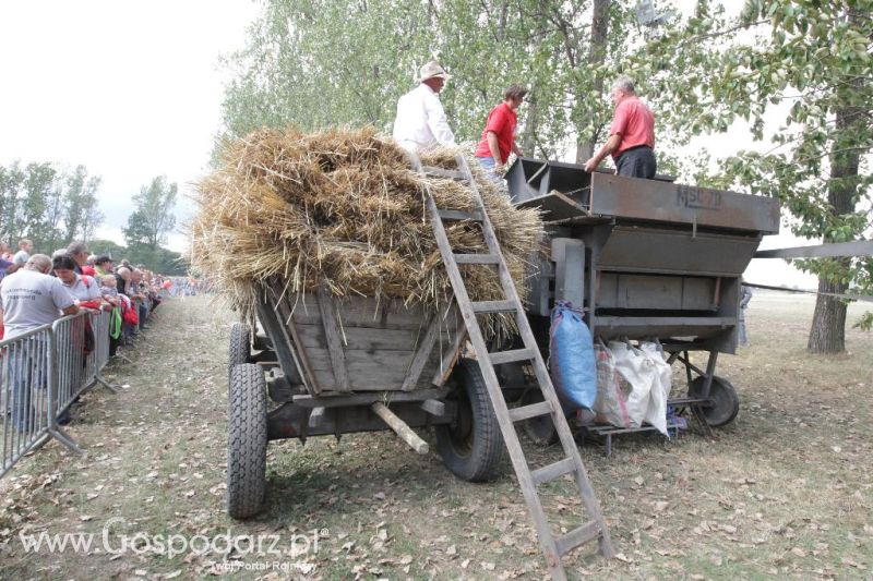 XIII Festiwal Starych Ciągników i Maszyn Rolniczych w Wilkowicach cz.1