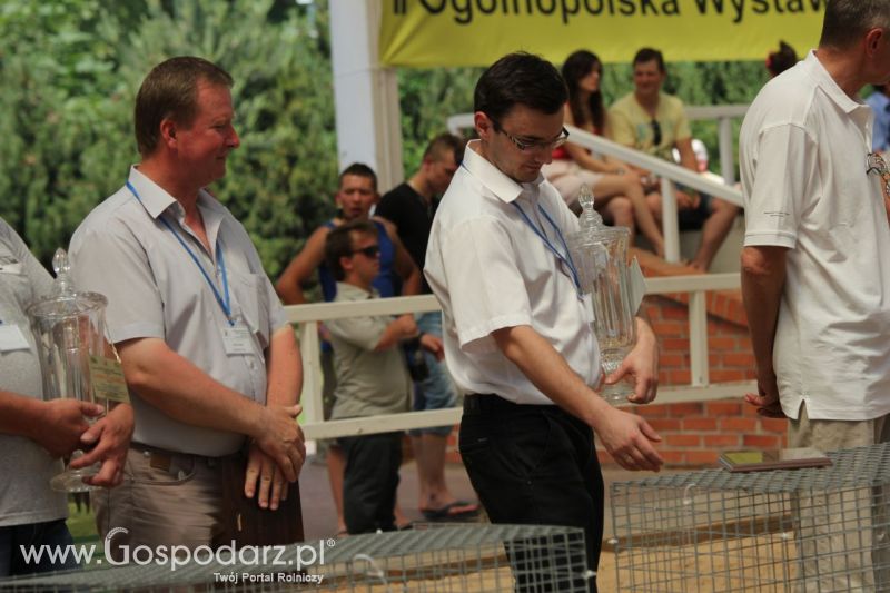 Zielone AGRO SHOW – POLSKIE ZBOŻA 2014 w Sielinku - niedziela