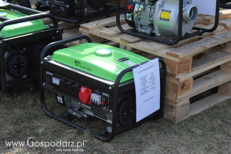 Husar na targach rolniczych Agroshow 2012 w Bednarach