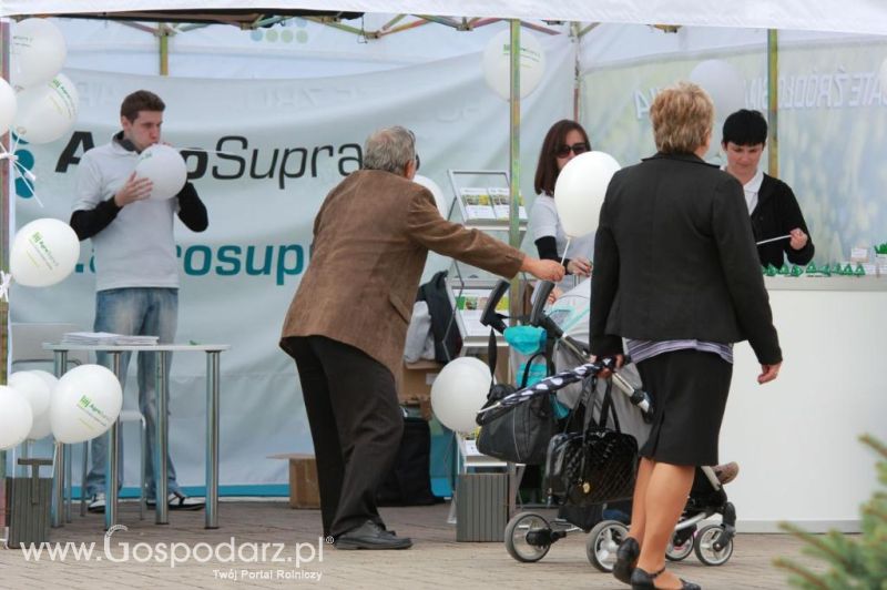 Targi ROLEXPO w Sochaczewie