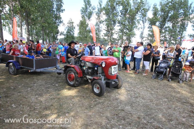 XII Festiwal Starych Ciągników im. Jerzego Samelczaka w Wilkowicach 2013 - niedziela