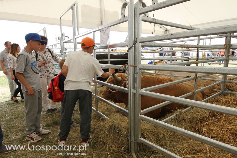 Sobota na Opolagrze 2016 razem z Gospodarz.pl