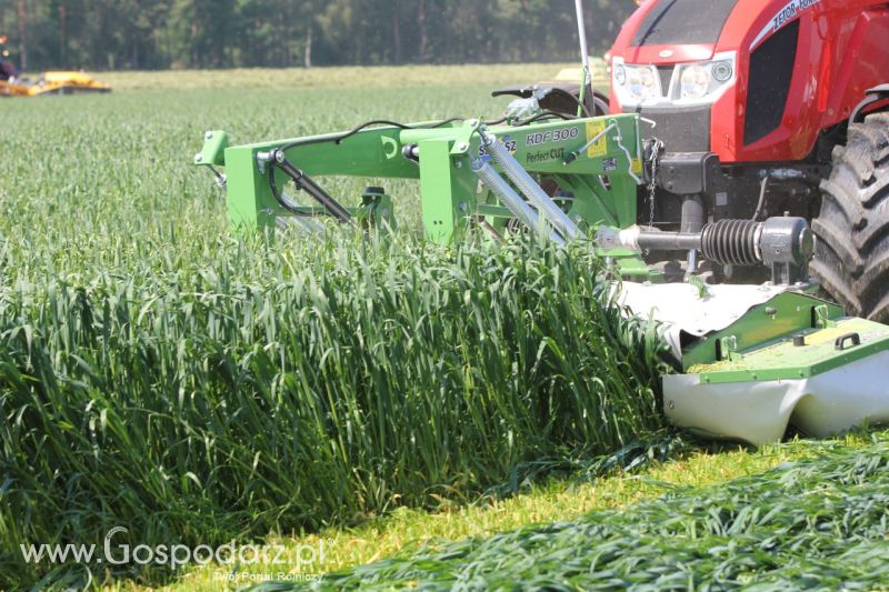 Zielone AGRO SHOW – POLSKIE ZBOŻA 2014 w Sielinku - niedziela