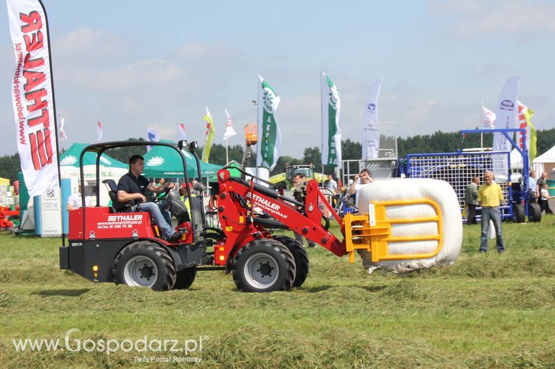 Zielone Agro Show pokaz maszyn rolniczych