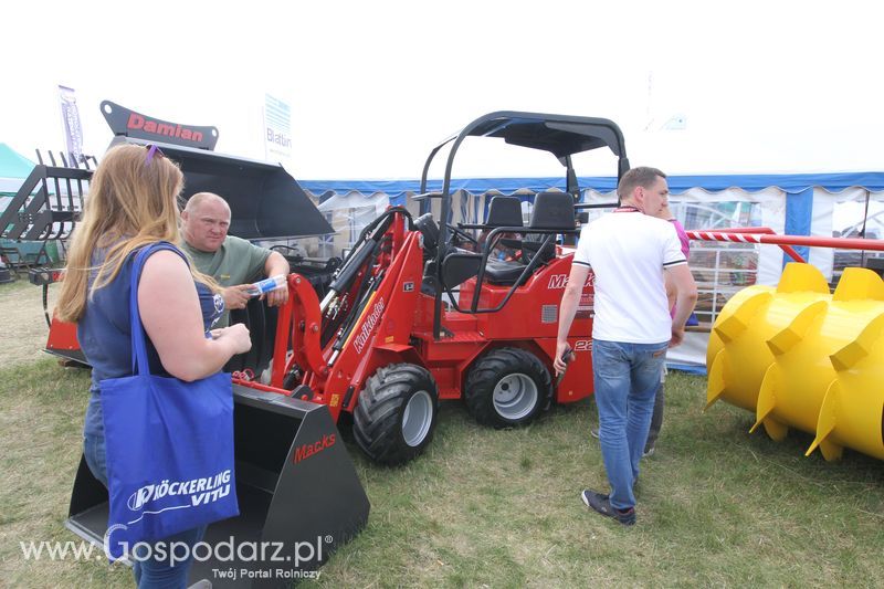 Damian na OPOLAGRZE 2016