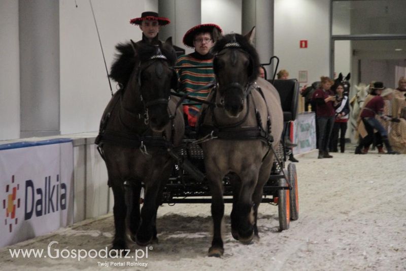 CAVALIADA 2013 w Poznaniu